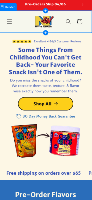 Nutty & Nostalgic — in-progress redesign